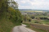 Bar-sur-Aube